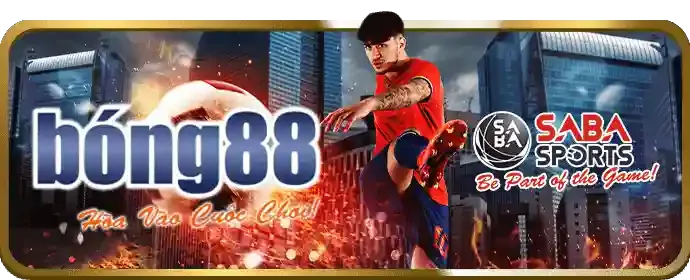Sân bóng rổ với trận đấu đang diễn ra